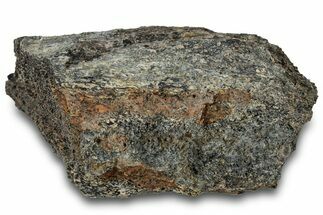 Fossil Dinosaur Bone Section - Bone Cabin Quarry, Wyoming #309255