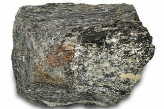 Fossil Dinosaur Bone Section - Bone Cabin Quarry, Wyoming #309258