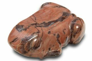 Polished Kona Dolomite (Stromatolite) Stone Frog - Michigan #309116