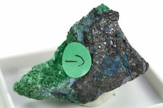 Rare Blue Buttgenbachite w/ Malachite & Cuprite - DR Congo #309640