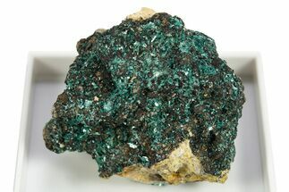 Beautiful Blue-Green Botallackite Crystal Cluster - England #309739