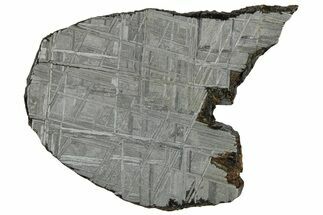 Etched Muonionalusta Meteorite Slice ( g) - Sweden #309802