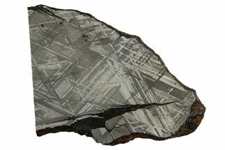 Etched Iron Meteorite Slice (g) - NWA (prov) #309810