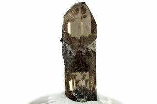 Lustrous Champagne Topaz Crystal - Utah #309271