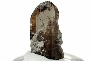 Lustrous Champagne Topaz Crystal - Utah #309280