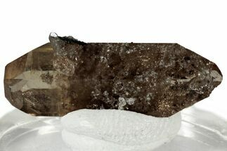Lustrous Double-Terminated Champagne Topaz w/ Hematite - Utah #309289