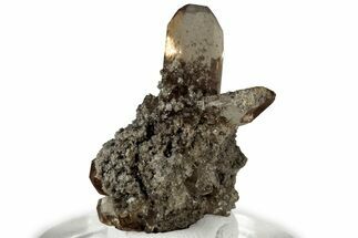 Lustrous Champagne Topaz Crystal Cluster - Utah #309292