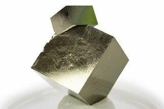 Shiny, Natural Pyrite Cube Cluster - Navajun, Spain #307048