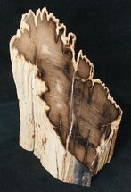 Free-Standing Petrified Wood (Cherry) - McDermitt, OR #16899