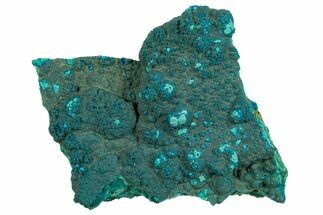 Teal Botryoidal Chrysocolla and Malachite - Chile #310124