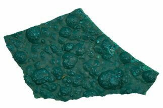 Teal Botryoidal Chrysocolla and Malachite - Chile #310145