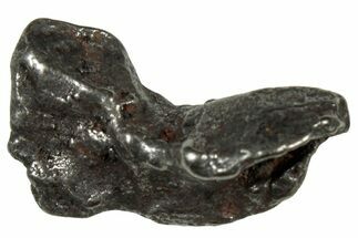 Gebel Kamil Iron Meteorite ( g) - Egypt #302704