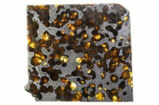 Brenham Pallasites For Sale