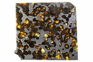 Brenham Pallasite Meteorite ( g) Slice - Kansas #310389