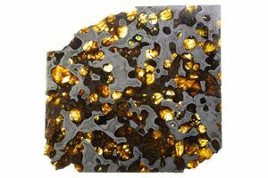 ブレナム隕石 (Brenham Pallasite) Brenham Pallasite Meteorites For Sale - FossilEra.com