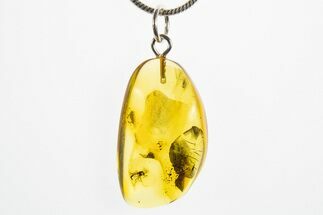 Polished Baltic Amber Pendant (Necklace) - Contains Fly! #311003