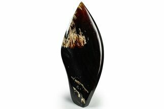 Tall, Free-Standing Polished Indonesian Blue Amber #311499