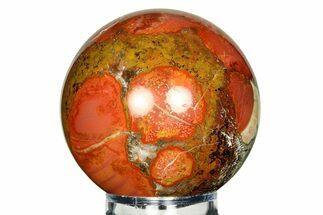 Polished King Cobra Jasper Sphere - India #311569