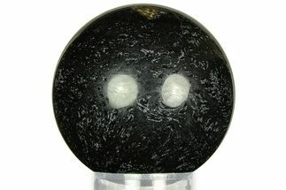 Polished Petrified Palm Wood Sphere - Indonesia #311561