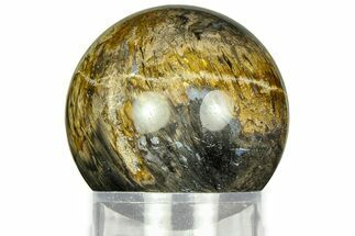 Polished Petrified Palm Wood Sphere - Indonesia #311564