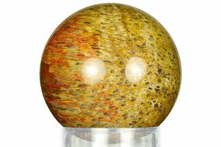 Polished Petrified Palm Wood Sphere - Indonesia #311565