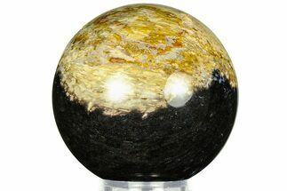 Polished Petrified Palm Wood Sphere - Indonesia #311584