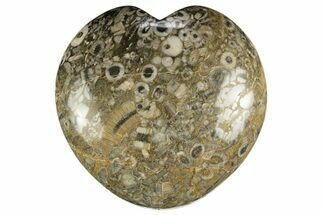 Fossil Crinoid Stems In Marble Heart #311927