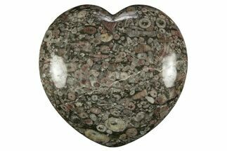 Colorful Fossil Crinoid Stems In Marble Heart #311959