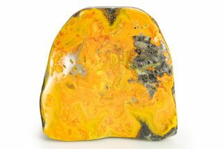 Very Vibrant, Free-Standing Polished Bumblebee Jasper #312042