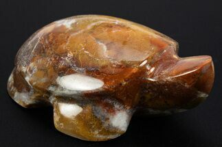 Polished Colorful King Cobra Jasper Turtle - India #311900