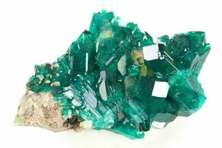 Gemmy Dioptase Crystal Cluster on Quartz - Republic of the Congo #312416