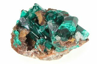 Gemmy Dioptase Crystal Cluster on Quartz - Republic of the Congo #312418