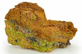 Apple-Green Pyromorphite Crystal Cluster - Republic of the Congo #312396