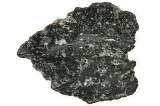 Polished Lunar Meteorite ( g) Section - NWA #312854