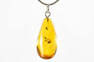 Polished Baltic Amber Pendant (Necklace) - Contains Insect! #312197