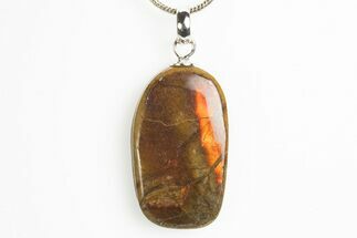 Brilliant Ammolite Pendant (Necklace) - Alberta, Canada #312482