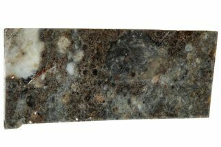 Lunar Meteorite Slice ( g) - NWA #312870