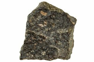 Abadla CM Chondrite Meteorite ( g) - Algeria #313050