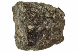 洋書 A Color Atlas of Meteorites 洋書 A Color Atlas of Meteorites