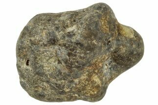 Lunar Meteorite ( g) - Laayoune #313131