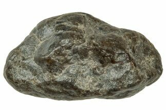 Lunar Meteorite ( g) - Laayoune #313132