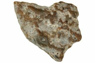 Lunar Meteorite ( g) - Laayoune #313140