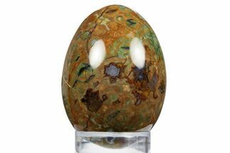 Polished Rainforest Jasper (Rhyolite) Egg - Australia #312696