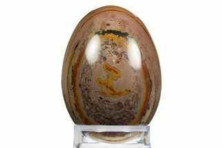 Polished Picture Stone Egg - Arizona #312728