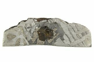 Etched Seymchan Meteorite Slice ( g) - Russia #313181