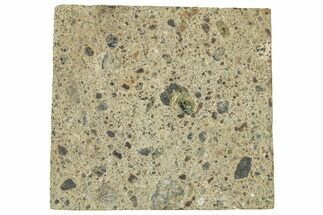 Diogenite Meteorite ( g) Slice - From Vesta Micro-Planet! #313317