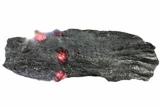 Plate of Four Red Embers Garnets in Graphite - Massachusetts #313535