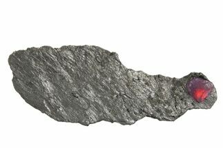 Red Embers Garnet in Graphite - Massachusetts #313413