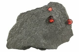 Plate of Two Red Embers Garnets in Graphite - Massachusetts #313518