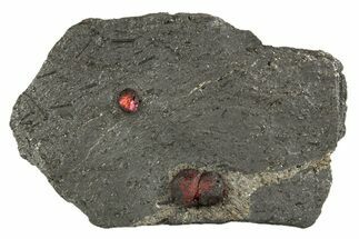 Plate of Three Red Embers Garnets in Graphite - Massachusetts #313533